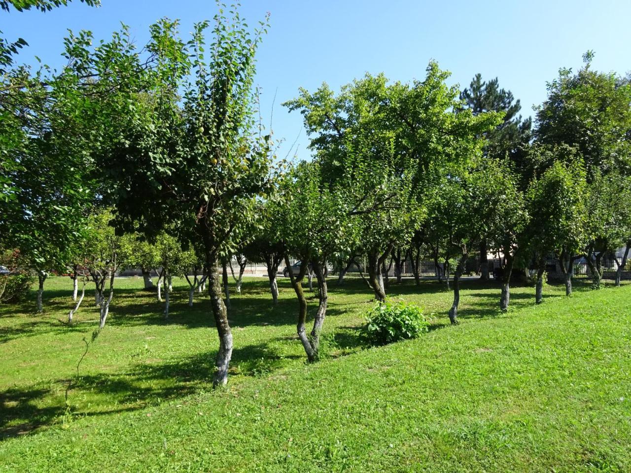 Apartment Una Laguna Bihać Exteriér fotografie
